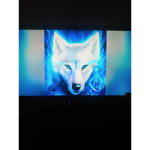 What's up I'm free to give you one $100 robux if y