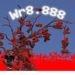 Wr8.888