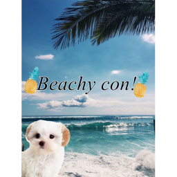 Beachy con!