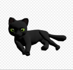 Cat studio's.