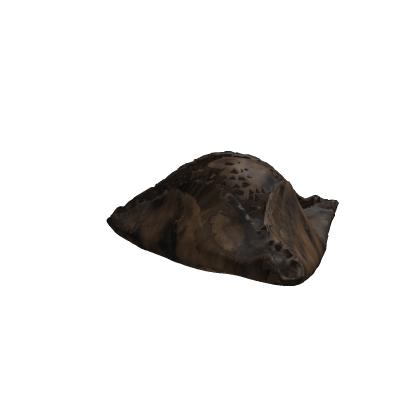 Pirate Hat