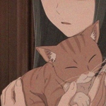 Cute aesthetic Cats