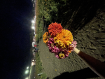 Beautiful Daisy's :D