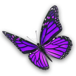 Butterflies Hangout <3