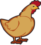 Team Chicken Official [New Version]