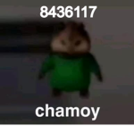 Chamoyy