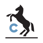 Stallions Security Command
