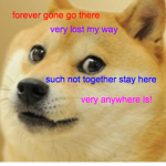 The Awsome Doge Group