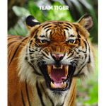 #TEAMTIGER4EVER