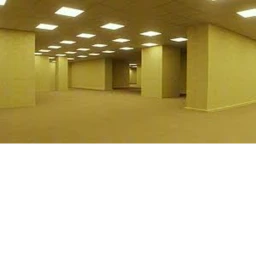 the most anoing backrooms game EVER!!! icon