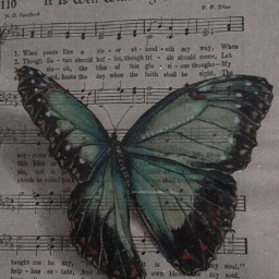 🦋