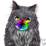Cat's Epic Fan Group
