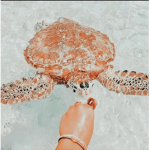 faiiryglohss