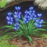 bluebarrys