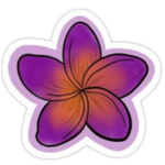 Paebugs plumeria