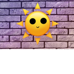 The SD Bricks