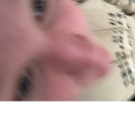 Elite_quaX