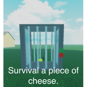 survival a piece of cheese