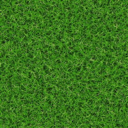 Grasslands