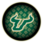 ROBLOX USF