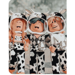 The jerr bears