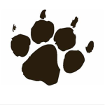 Coyotepac