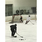 Goalies