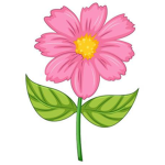 Sour Flower Patch