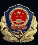 西北战区—公安