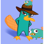 Perry group