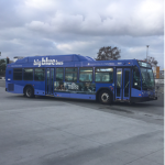 Sheep’s big blue bus Group