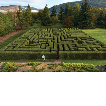 [GRAND OPENING] The Maze...