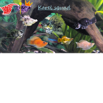 Karel squad