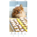 Cookies bookies
