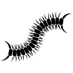 蟲 Worm