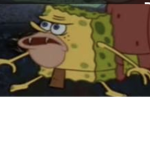 Spongegarry