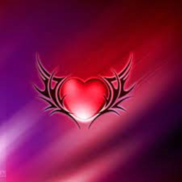 Finding Love and Friends