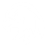 [NHWK] Night Hawks