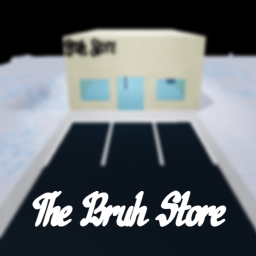 The Bruh Store