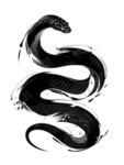 snakeblack