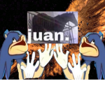 the cult of memes for meme people