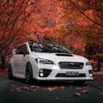 Subaru Supremacy