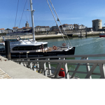 CHATONS_14 GROUPE