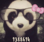 ʚHeartCasualɞ