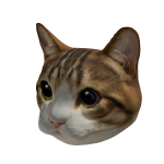 Meowl - Dynamic Head