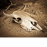 Death Valle