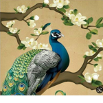 Peacock squad!