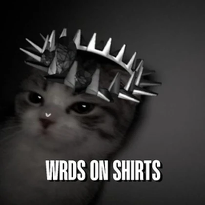 wrds on shirts Roblox group icon