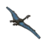 Flying Quetzalcoatlus