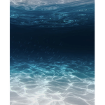 |_Lovely•Ocean•Waves_|
